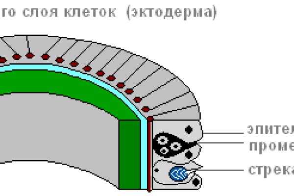 Кракен аккаунт не найден