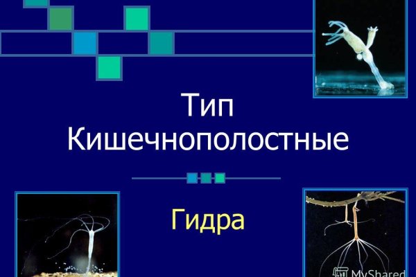 Kra34.cc