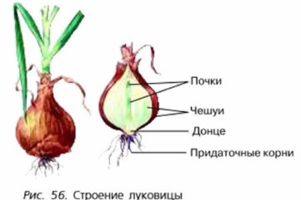 Kraken 13 at сайт